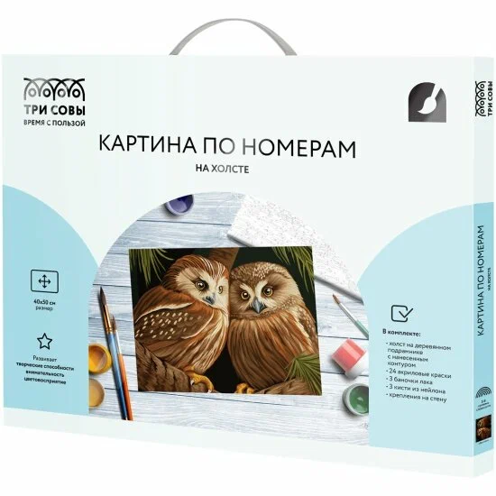 Картина по номерам на холсте ТРИ СОВЫ "Две совы" 40 x 50 см, с акриловыми красками и кистями RE-КХ4050_53927