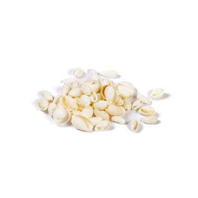 Ракушки декоративные ZLATKA / Blumentag 100 г ± 5 г Bubbles Shell 2.5 см DRF-003