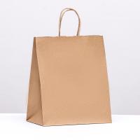 Пакет бумажный "Крафт" с кручеными ручками 22 x 12 x 25 см 90 г/м2 SIM-9935779