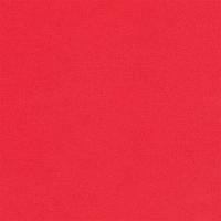Пластичная замша Mr.Painter 2 мм 50 x 50 см ± 3 см 05 красный FOAM-2-05