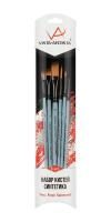 Набор кистей VISTA-ARTISTA синтетика 6 шт (плоская №2, плоскоовальная "кошачий язык" №2, плоская скошенная №4, лайнер №5, круглая №6, плоская удлиненная №10) VABS-04