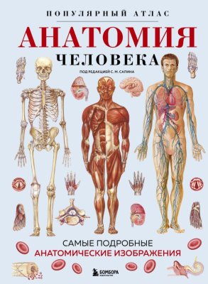 Книга: Анатомия человека. Популярный атлас. Самые подробные анатомические изображения EKS-980351