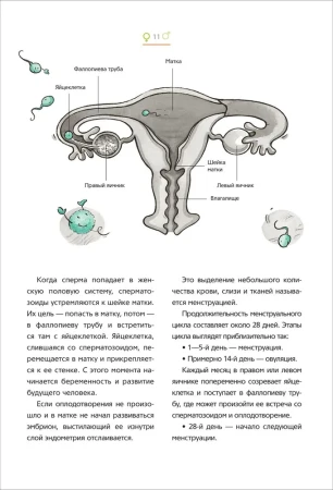 Книга: Как меняется мое тело. Все, что нужно знать мальчикам о перех.возрасте ROS-41151
