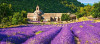 Пазл Castorland 600 Notre Dame de Sènanque, France B-060313