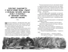 Книга: Золотой ключик, или Приключения Буратино (ил. В. Челака) EKS-699796