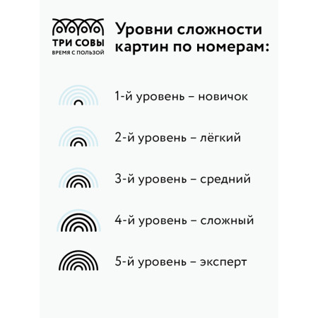 Картина по номерам на холсте ТРИ СОВЫ "Царь зверей" 30 x 40 см, с акриловыми красками и кистями RE-КХ_44086
