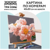 Картина по номерам на холсте ТРИ СОВЫ "Нежность" 40 x 50 см с акриловыми красками и кистями RE-КХ_44146
