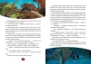 Книга: Большое Путешествие. Вокруг света. Книга для чтения с цветными картинками EKS-130670