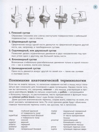 Книга: Анатомия для художников. Практический курс EKS-998876
