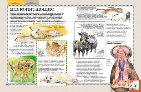 Книга: Животные. Полная энциклопедия ROS-30736