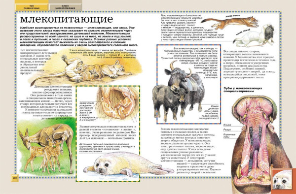 Книга: Животные. Полная энциклопедия ROS-30736