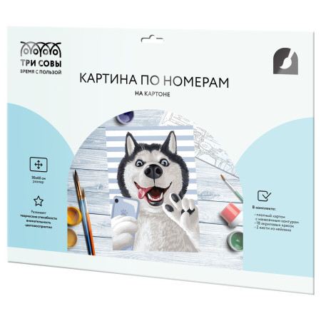 Картина по номерам на картоне ТРИ СОВЫ "Селфи" 30 x 40 см, краски, кисть RE-КК_53816
