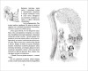 Книга: Толонен Т. Агнес и тайный ключ ROS-37664