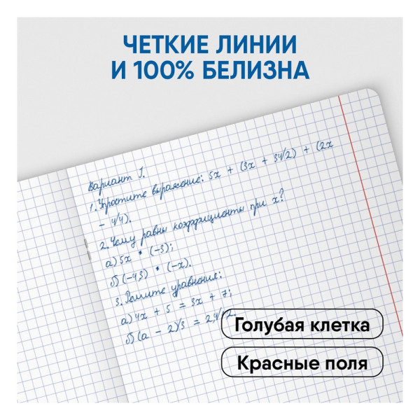 Тетрадь 48л. А5 клетка BG "Однотонный. Спокойствие" выб. лак RE-Т5ск48вл11030