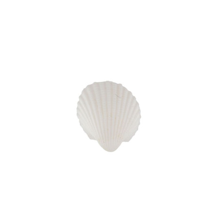 Ракушки декоративные ZLATKA / Blumentag 100 г ± 5 г Clam Rose DRF-031