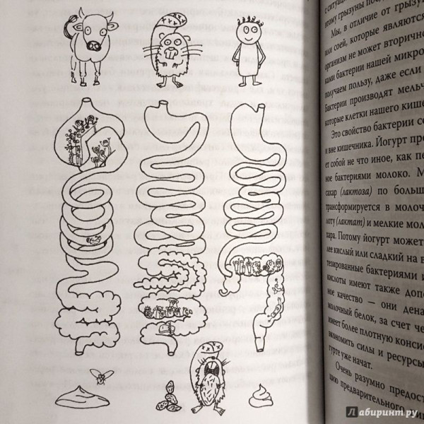 Книга: Очаровательный кишечник. Как самый могущественный орган управляет нами EKS-813513