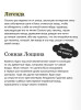 Книга: Легенда о Сонной лощине. Серия Вечные истории EKS-504879