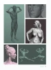 Книга: Анатомия для 3D-художников. Курс для разработчиков персонажей компьютерной графики EKS-590567