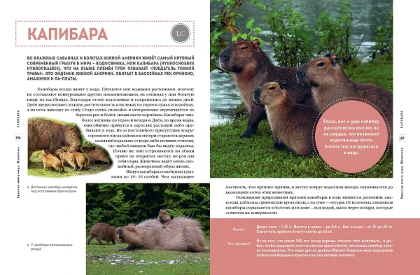 Книга: Красная книга мира. Животные EKS-798963