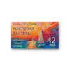 Набор масляной пастели СОНЕТ 12 цв NP-70412967