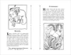 Книга: Кэтрин Ранделл. Невероятные создания ROS-42998
