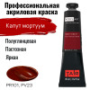 Краска "Акрил-Арт" туба 45 мл Капут мортуум темный 0210064