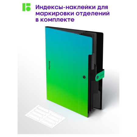 Папка 5 отделение А4 Berlingo "Radiance" 600 мкм, на кнопке, голубой/зеленый градиент RE-XF4_05003