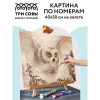 Картина по номерам на холсте ТРИ СОВЫ "Полярная сова" 40 x 50 см, краски, кисть RE-КХ_44165
