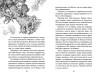 Книга: Приключения барона Мюнхгаузена (ил. И. Егунова). Распе Р.Э. EKS-728656