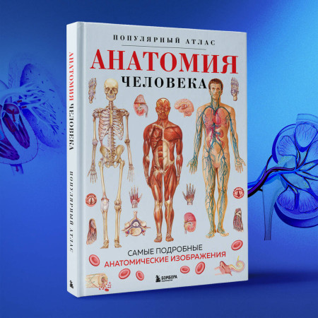Книга: Анатомия человека. Популярный атлас. Самые подробные анатомические изображения EKS-980351