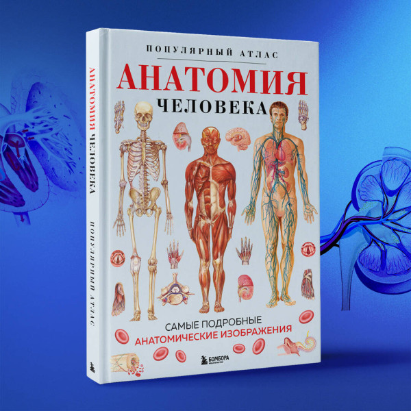 Книга: Анатомия человека. Популярный атлас. Самые подробные анатомические изображения EKS-980351
