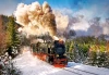 Пазл Castorland 1000 STEAM TRAIN C-103409