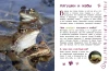 Книга: Животные. Большая детская энциклопедия EKS-713713