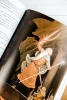 Книга: Братство кольца. Второе издание с иллюстрациями Дениса Гордеева EKS-101640