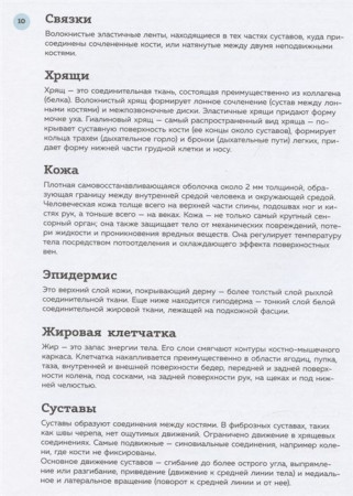 Книга: Анатомия для художников. Практический курс EKS-998876