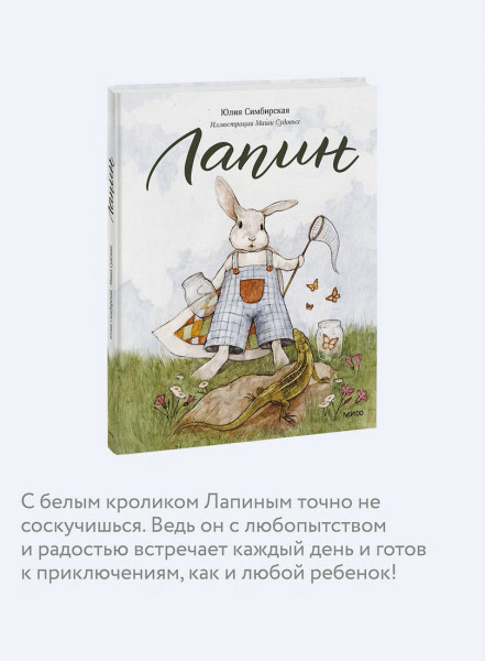 Книга: Лапин EKS-953807