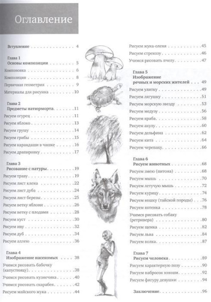 Книга П: Простые уроки рисования для начинающих. 978-5-4461-0179-5