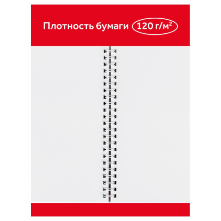 Альбом для рисования 24л. A4 ГАММА "Мультики" 120 г/м2 на гребне RE-20122022_24