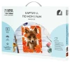 Картина по номерам на холсте ТРИ СОВЫ "Лисица" 30 x 40 см с акриловыми красками и кистями RE-КХ_44142