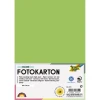 Фотокартон FOLIA 300 г/м2, 50×70 см, 1 лист, светло-зелёный FL-6151/1