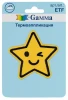 Термоаппликация GAMMA №02 1 шт Звезда 5.5 х 5.5 см ETF-01-224