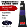 Краска "Акрил-Арт" туба 45 мл Фиолетовый темный 0210063