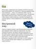 Книга: Ночь нежна. Серия Вечные истории EKS-507627