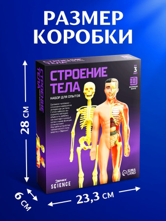Набор для опытов ЭВРИКИ "Строение тела" №SL-00702B 2772939