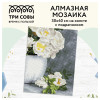 Алмазная мозаика ТРИ СОВЫ "Садовые цветы" 30 x 40 см, холст на подрамнике RE-АМП3040_47586