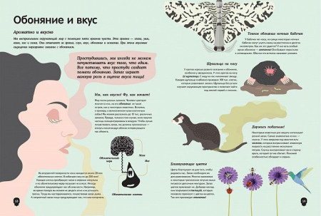 Книга: Тело человека. Визуальный гид ROS-36713