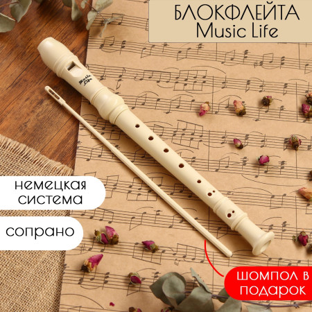 Музыкальный инструмент Блокфлейта Music Life 8 отверстий, немецкая система, сопрано SIM-4417173