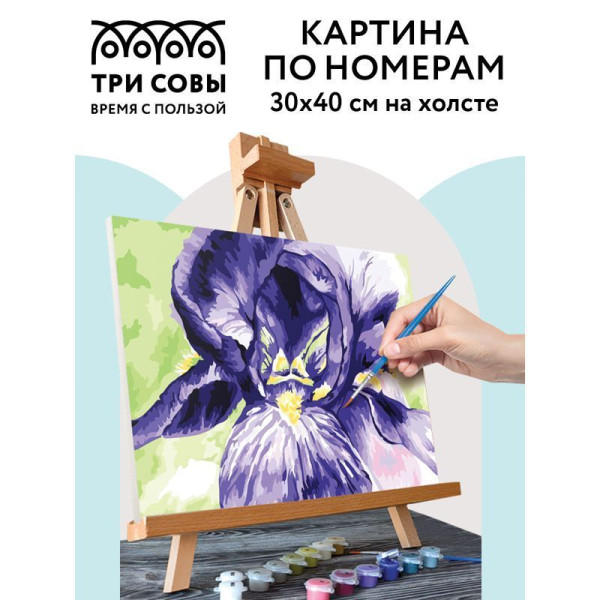 Картина по номерам на холсте ТРИ СОВЫ "Ирис" 30 x 40 см с акриловыми красками и кистями RE-КХ_44105