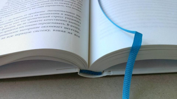 Книга: Невозможное как стратегия. Как нейронаука помогает добиваться экстремальной продуктивности в бизнесе MIF-699095