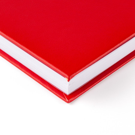 Блокнот для записей Стихия Bullet Journal 100 г/м2, 14 x 20 см, 80 л, жесткая обложка, красный NP-ST04058